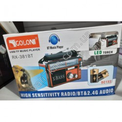 V510 Радио RX381